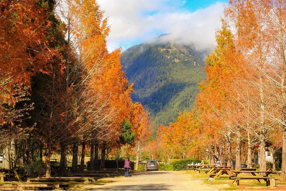 Top 6 địa điểm du lịch Đài Loan mùa thu ngắm cây thay lá