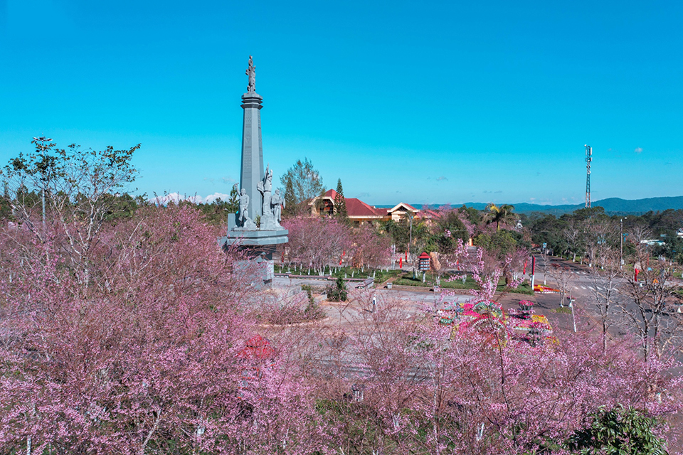 Du lịch Măng Đen mùa hoa anh đào: Địa điểm du xuân lý tưởng