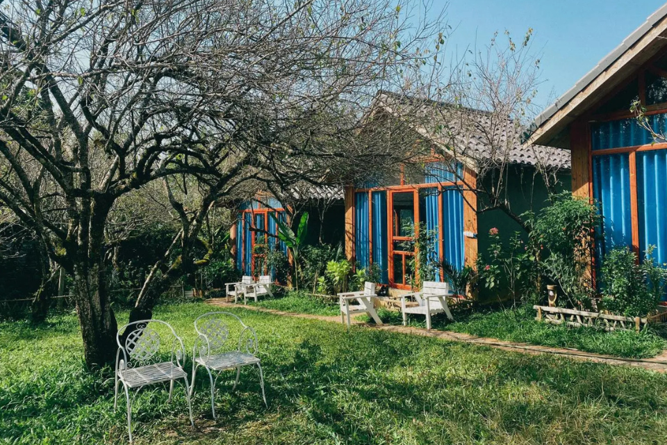 Top 5 địa điểm du lịch Mộc Châu đẹp nao lòng không thể bỏ lỡ