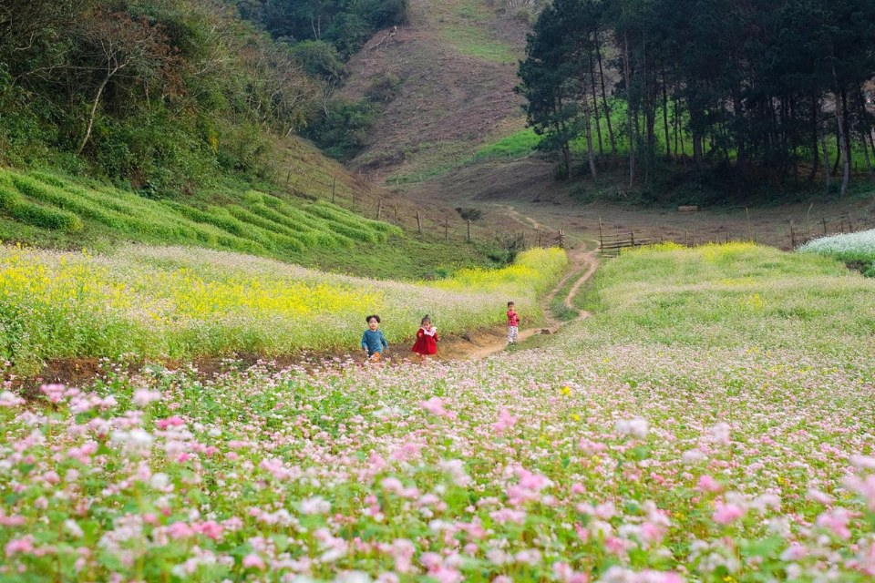Du lịch bản Lóng Luông – Trải nghiệm vẻ đẹp yên bình giữa lòng Tây Bắc