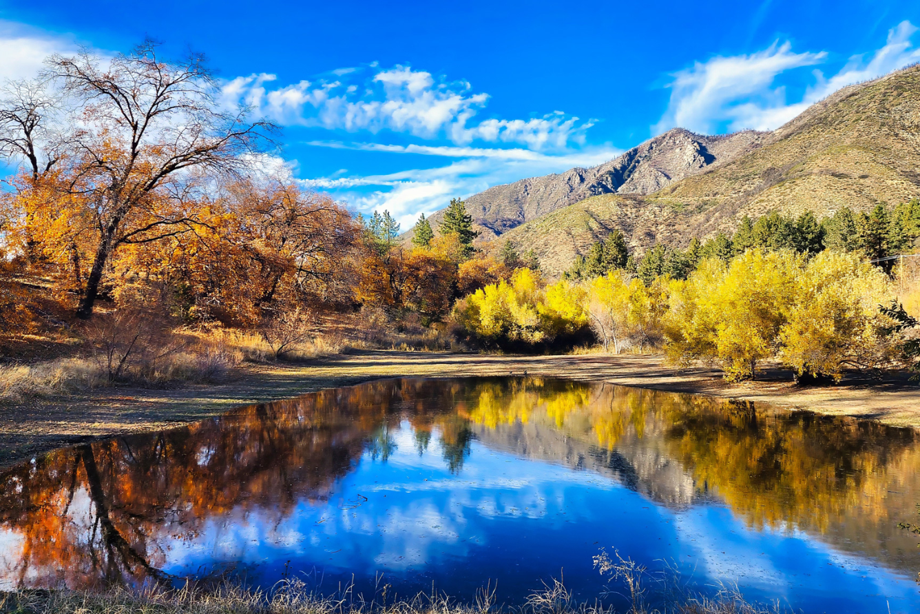 Top 5 địa điểm du lịch mùa thu Los Angeles: Trải nghiệm mùa đặc biệt nhất của “xứ thiên thần”