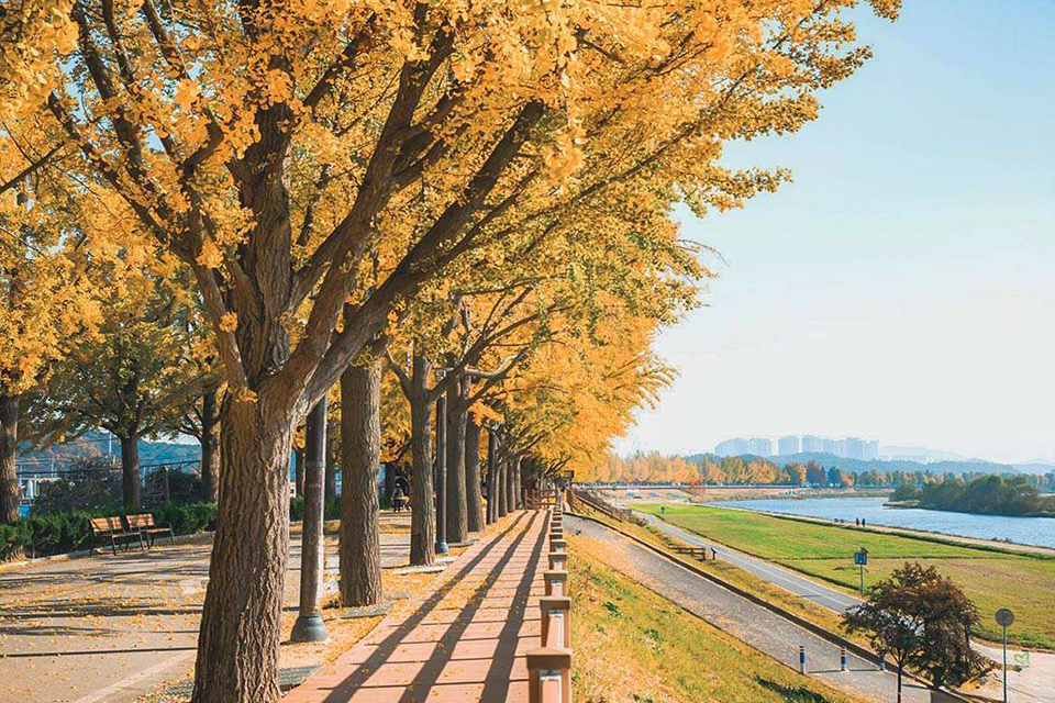 Top 10 địa điểm du lịch lễ 2/9 nước ngoài 2025 được tìm kiếm nhiều nhất