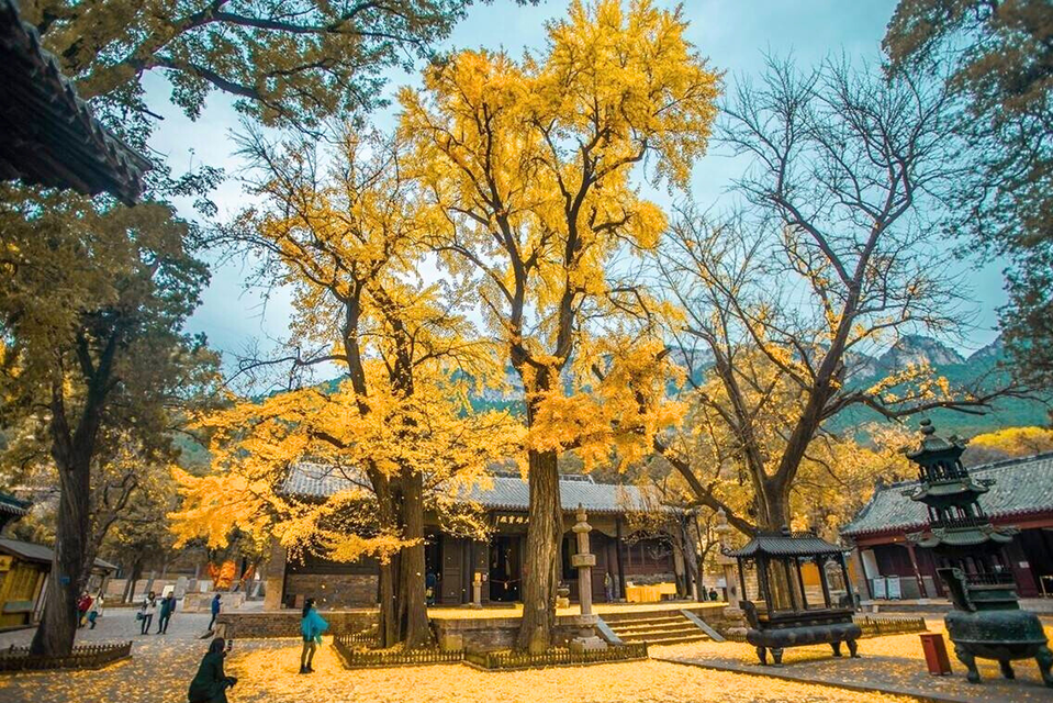 Top 5 địa điểm du lịch Trung Quốc mùa thu hot nhất 2025