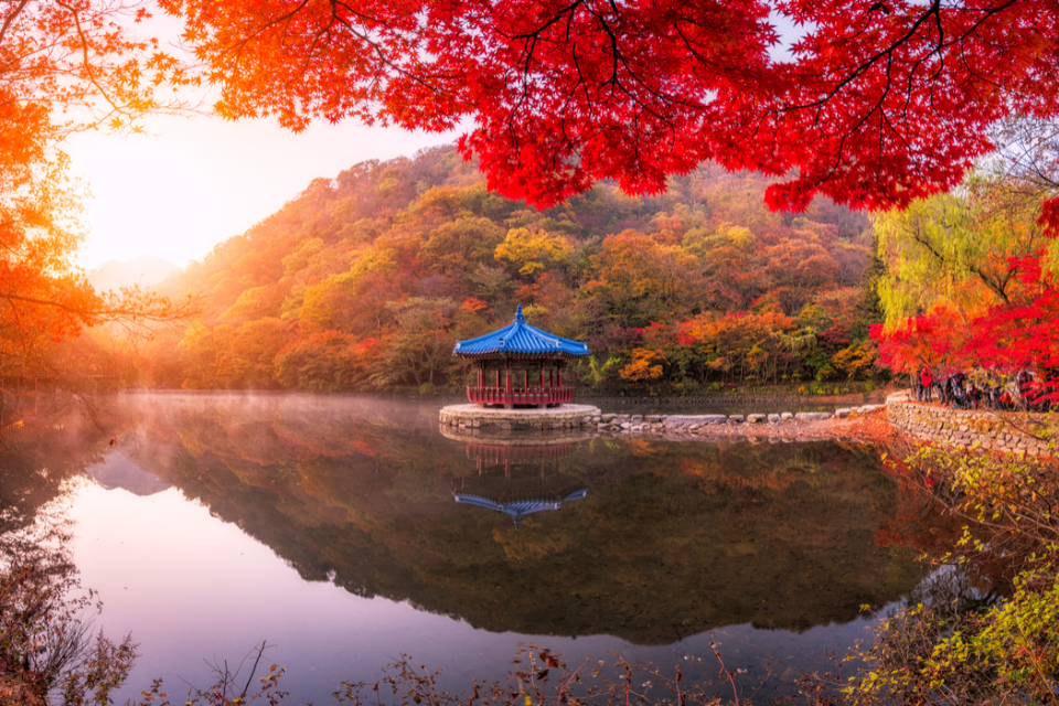 Nhìn những mùa thu qua tại 7 địa điểm ngắm lá vàng ở Hàn Quốc tuyệt đẹp