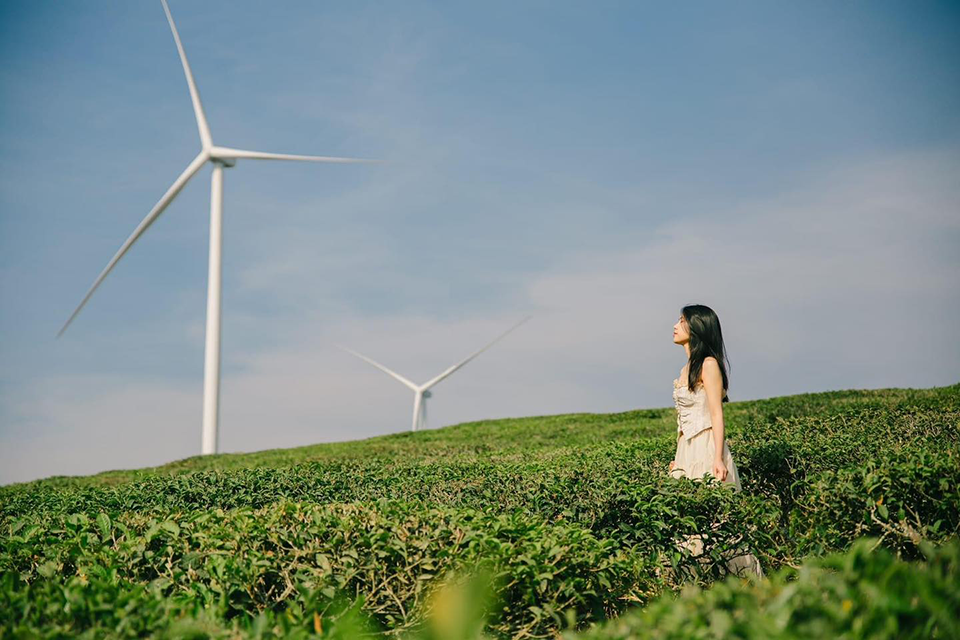 Top 5 điểm đến hấp dẫn ở Lâm Đồng năm 2025 – Khám phá Đà Lạt và nhiều hơn thế nữa