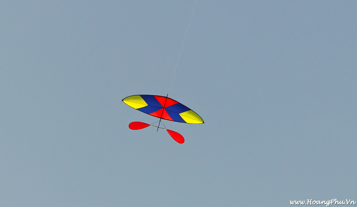 Diều sáo - interesting Vietnamese kites