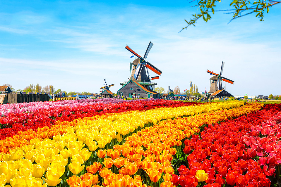 Du lịch 5 nước Châu Âu ngắm mùa hoa đẹp nao lòng