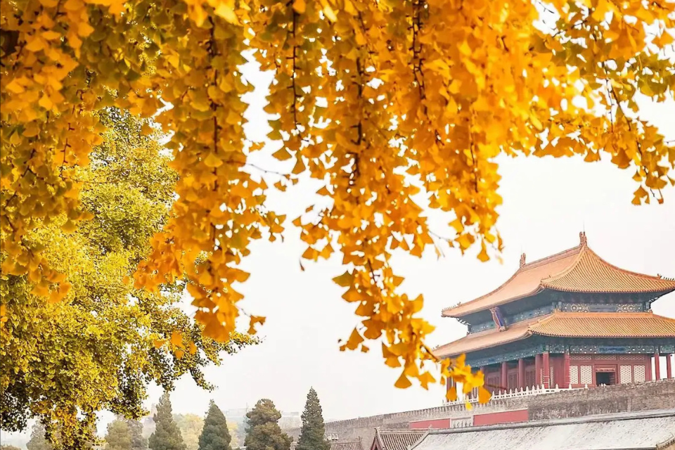 Top 5 địa điểm ngắm lá vàng Bắc Kinh nổi tiếng nhất