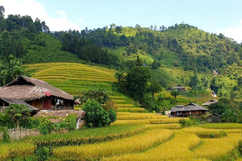 Du lịch Bản Liền Lào Cai: Chốn bình yên cho những ai yêu thiên nhiên và văn hóa bản địa