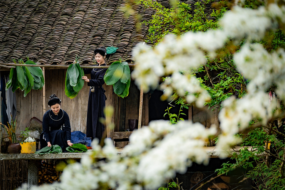 Mê mẩn trước những mùa hoa đẹp ở Cao Bằng