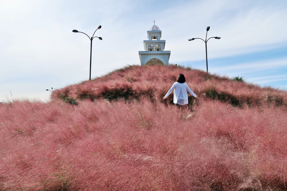 Top 9 địa điểm du lịch chữa lành ở Jeju, Hàn Quốc hấp dẫn nhất