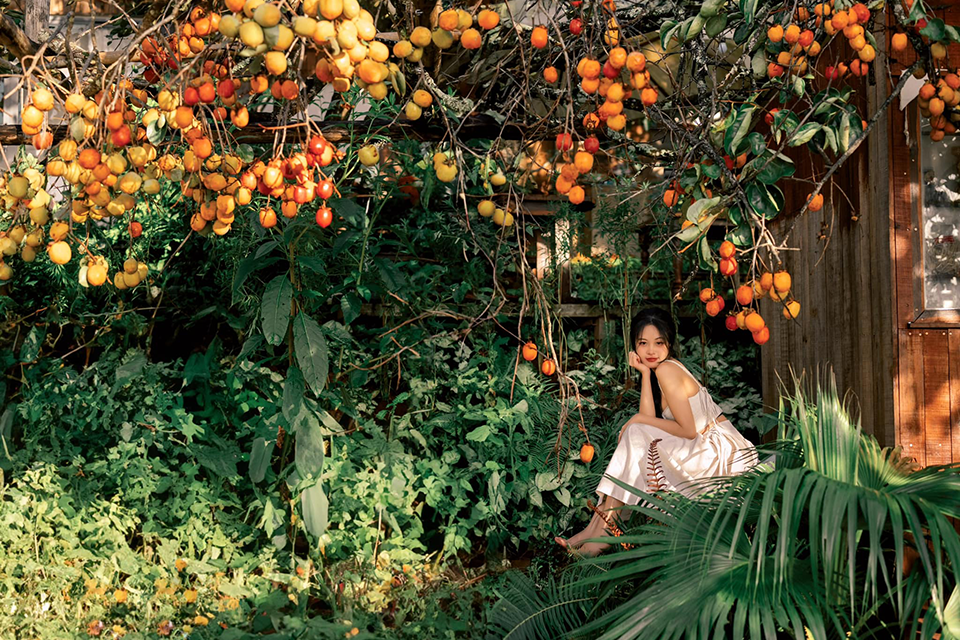 Du lịch Đà Lạt săn hồng chín sớm cùng top 4 quán cà phê đẹp 2025