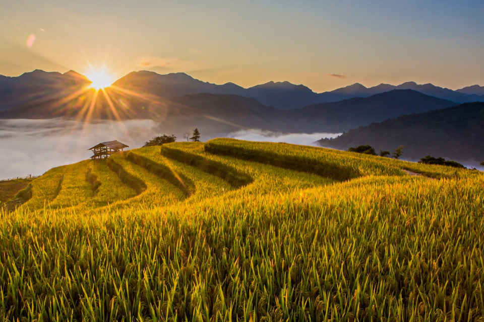 8 trải nghiệm du lịch Đông Bắc mùa thu: Hành trình chạm đến vẻ đẹp hùng vĩ và lãng mạn