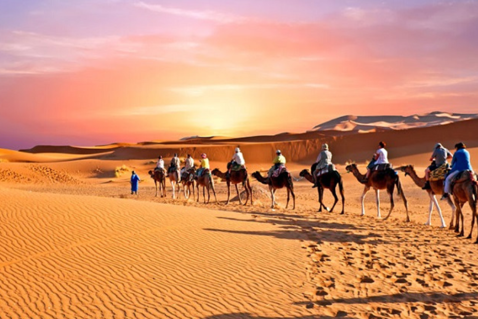 Sa mạc Safari có gì đặc sắc mà ai du lịch Dubai cũng ghé thăm