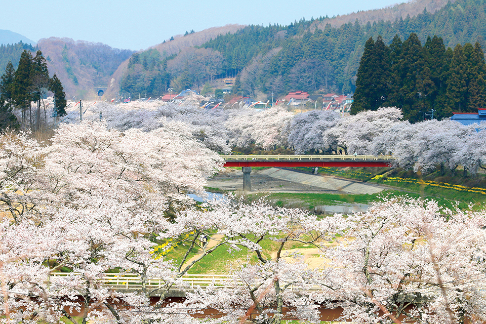 Du lịch Takamatsu tận hưởng mùa hoa anh đào và ẩm thực độc đáo