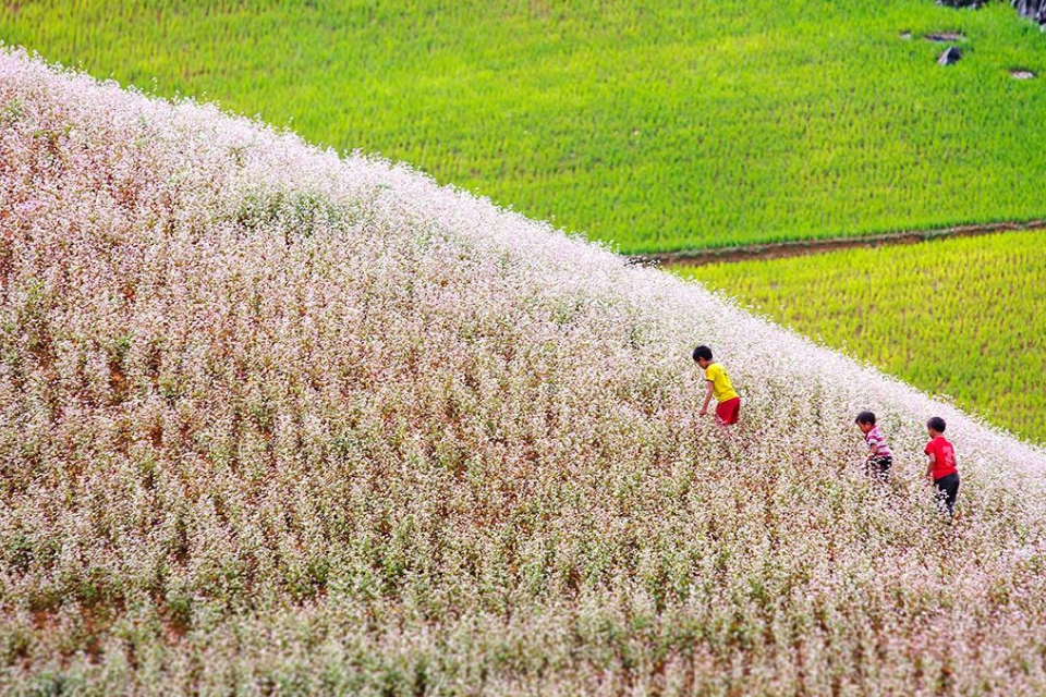 Kinh nghiệm du lịch Hà Giang mới nhất 2025