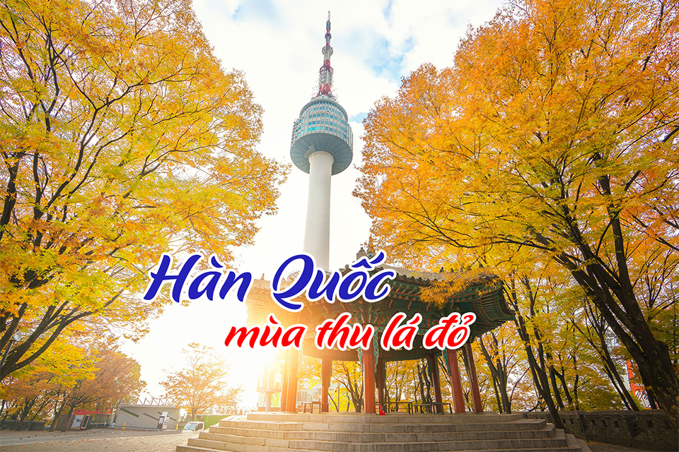 Du lịch Hàn Quốc mùa thu: Trải nghiệm lá đỏ, lễ hội và ẩm thực xứ kim chi