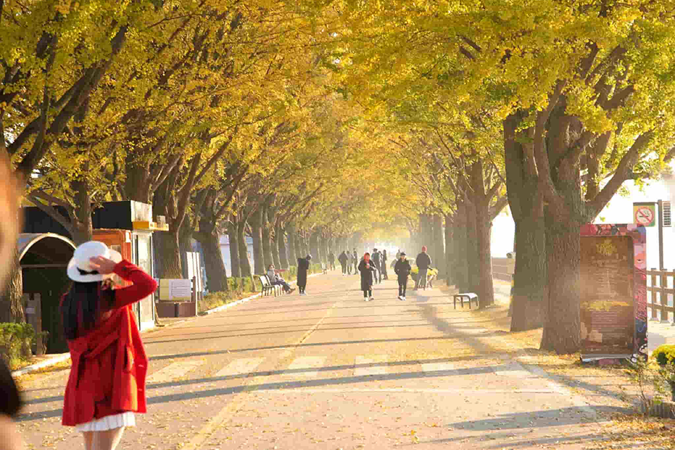 Du lịch Hàn Quốc 2025: Nơi nào đẹp? Ăn gì? Đi đâu? Du lịch Hàn Quốc 2025: Nơi nào đẹp? Ăn gì? Đi đâu?