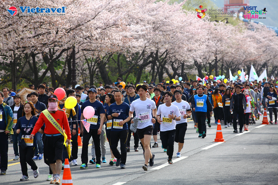 Du lịch Hàn Quốc trải nghiệm chạy Marathon và ngắm hoa anh đào tại cố đô Gyeongju