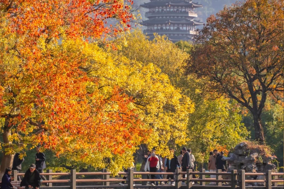 Du lịch Hàng Châu - Tô Châu mùa thu: Khám phá  vẻ đẹp cổ kính và lãng mạn