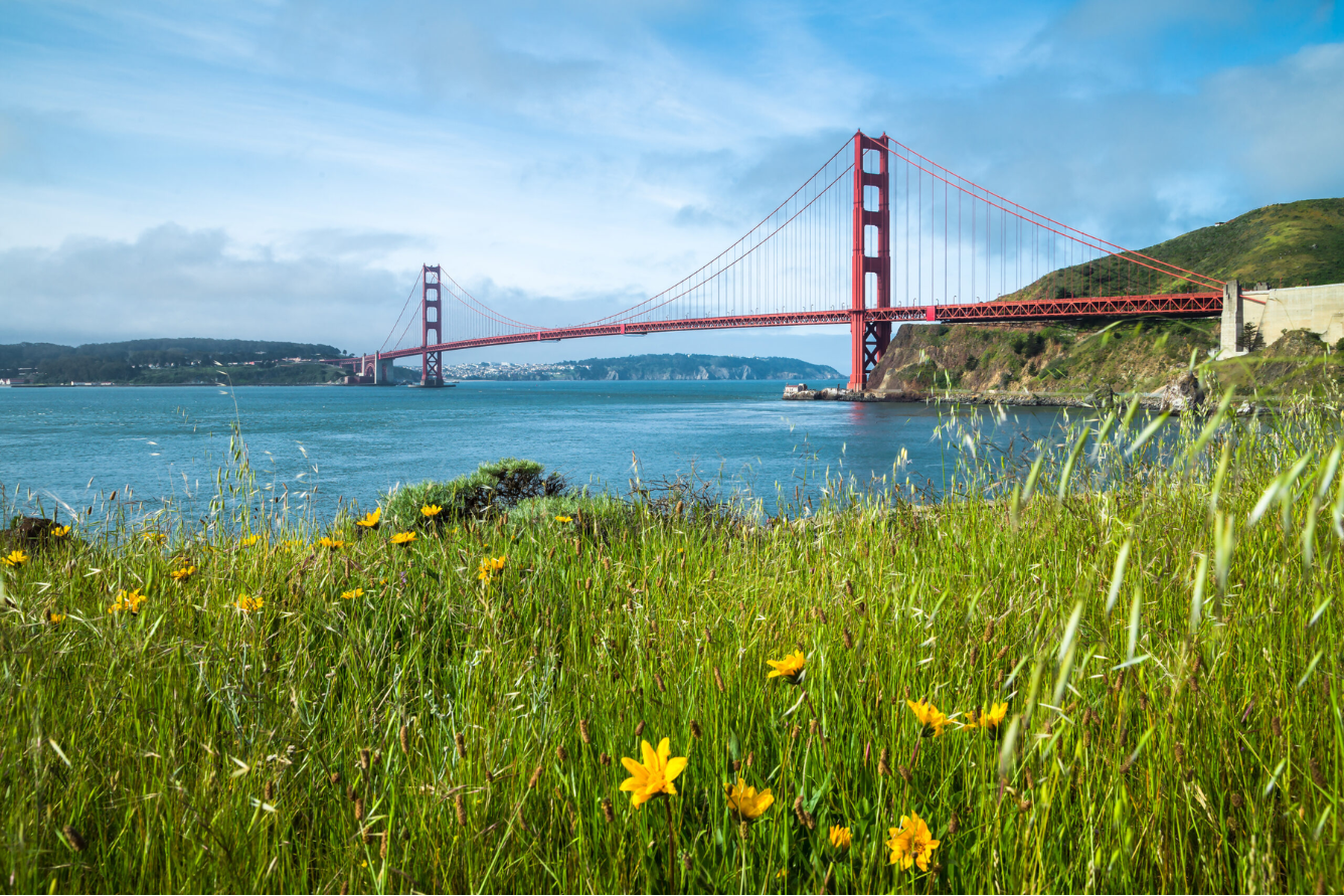 Du lịch hè ở San Francisco: Khi gió Thái Bình thổi nhẹ qua phố đồi