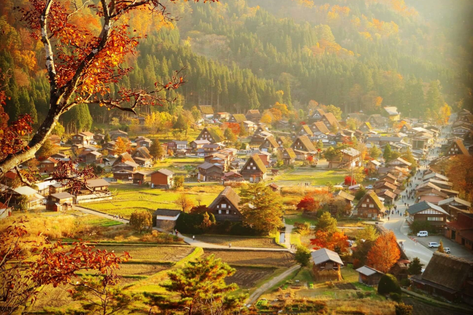 Du lịch làng Shirakawago Nhật Bản đẹp tựa cổ tích vào mùa thu