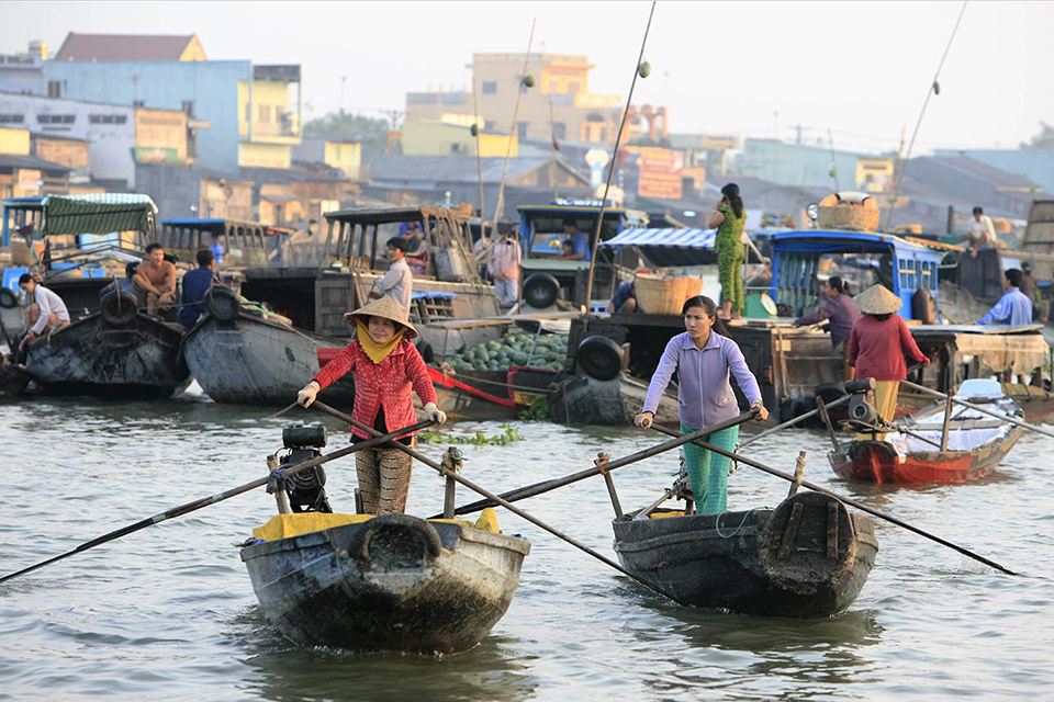 Đi đâu, ăn gì mùa nước nổi ở miền Tây? Trọn bộ gợi ý cho bạn