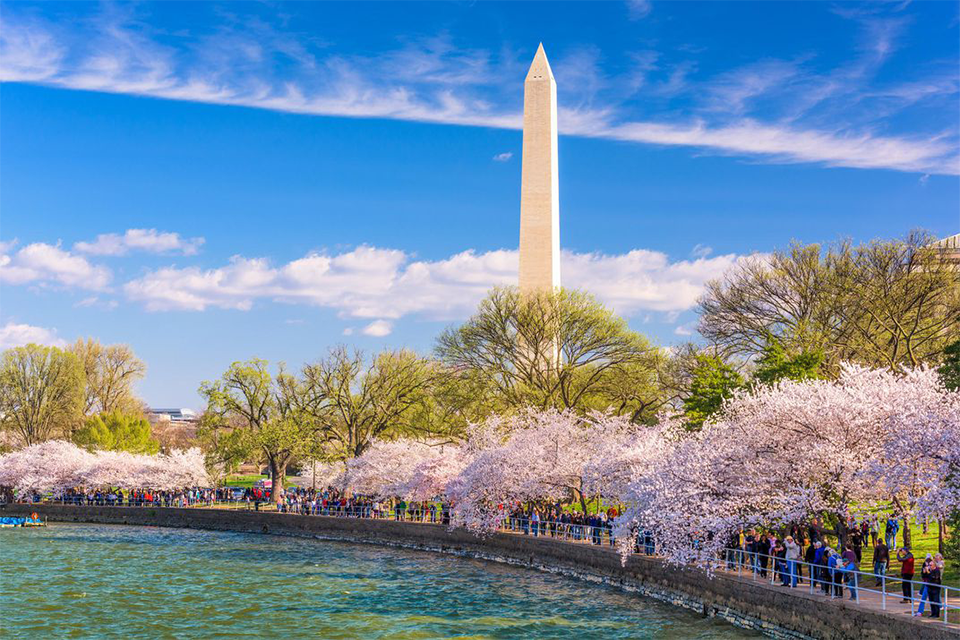 Du lịch Mỹ mùa xuân: Thời tiết, cảnh quan tuyệt vời và những trải nghiệm thú vị
