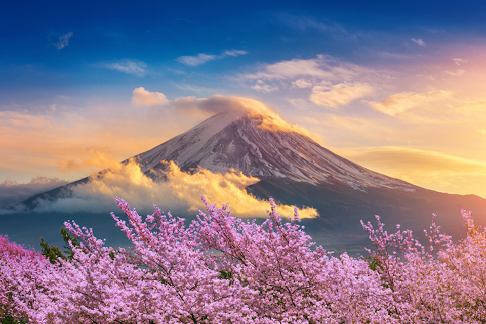 Top 5 địa điểm du lịch trải nghiệm trọn vẹn sắc xuân Nhật Bản