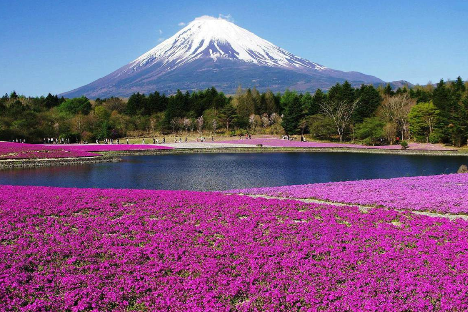 Du lịch Nhật Bản tháng 7 với những sự kiện hấp dẫn nhất mùa hè