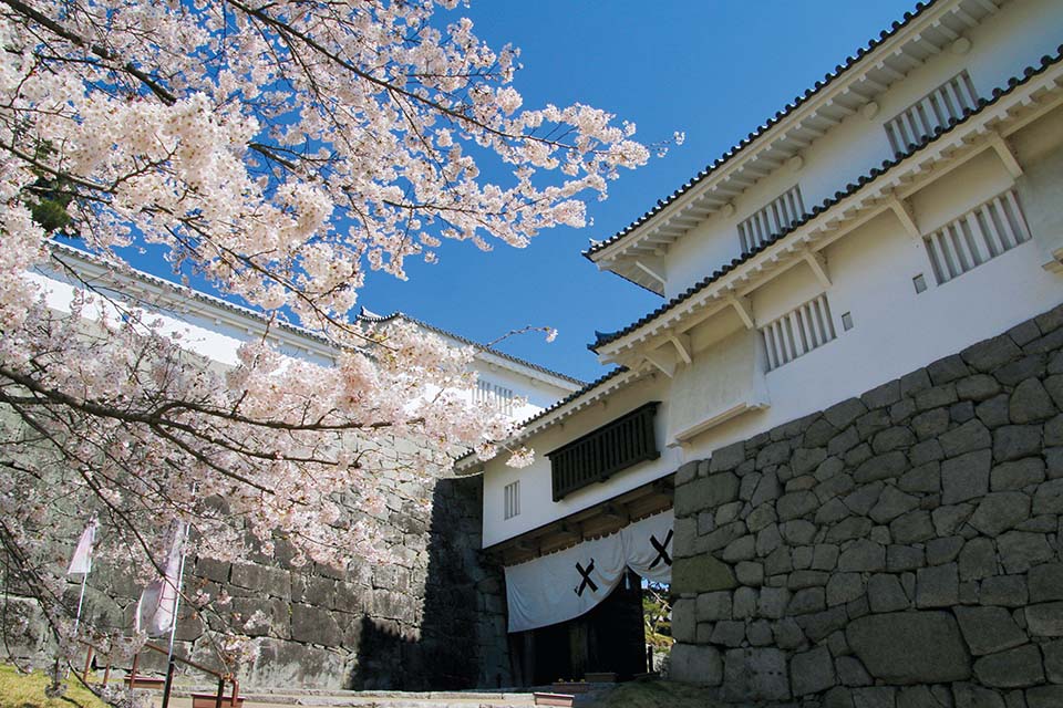8 kiến trúc đẹp lộng lẫy trong mùa hoa anh đào trên hành trình du lịch Nhật Bản khám phá Fukushima