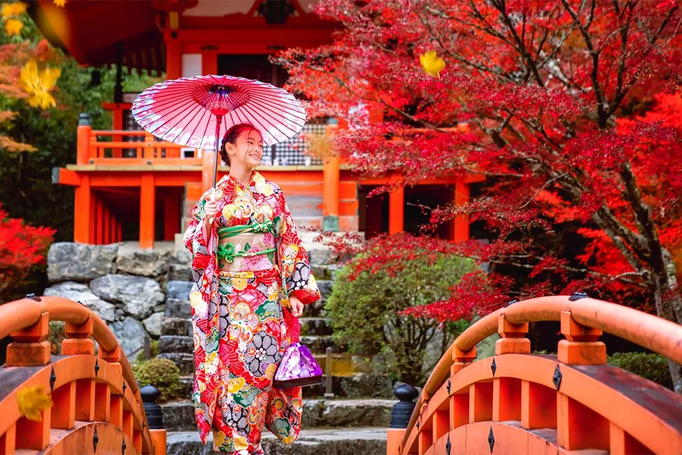 Du lịch Nhật Bản mùa thu: Kinh nghiệm, địa điểm và lịch trình đẹp nhất