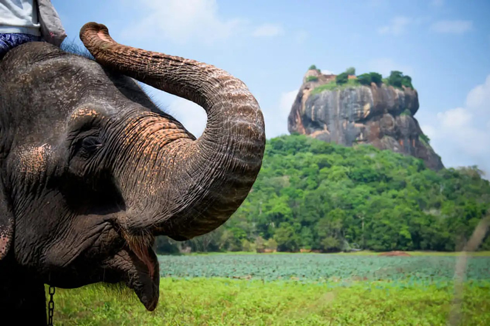 Thiên đường hoang dã Sri Lanka và những điểm đến không thể bỏ qua