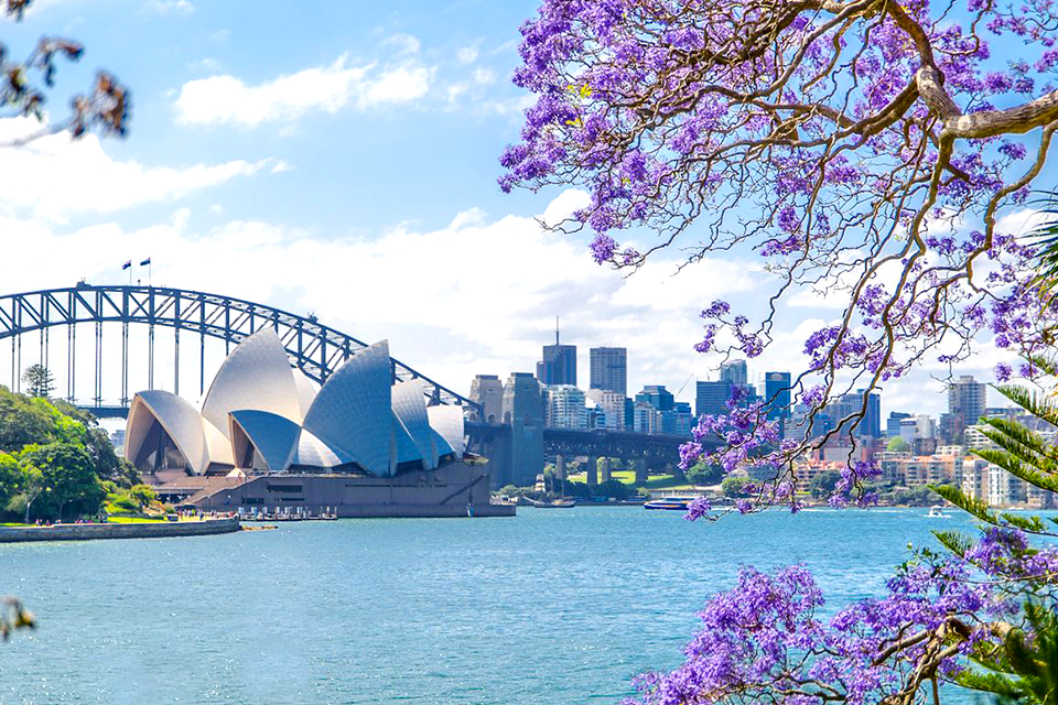 Ngắm nhìn nước Úc xinh đẹp qua mùa xuân Sydney