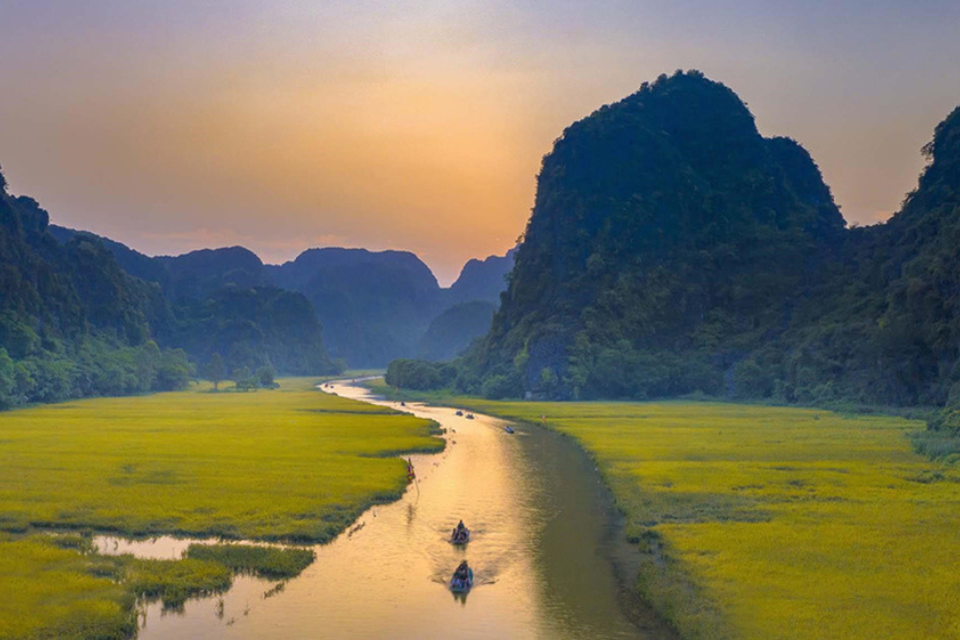 Du lịch Tam Cốc mùa lúa chín – Bức tranh thiên nhiên tuyệt đẹp giữa lòng Ninh Bình