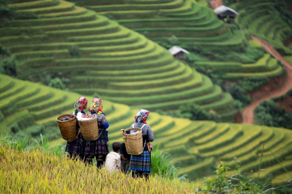 Du lịch Tây Bắc mùa nào đẹp nhất? Kinh nghiệm khám phá vùng sơn cước hùng vĩ