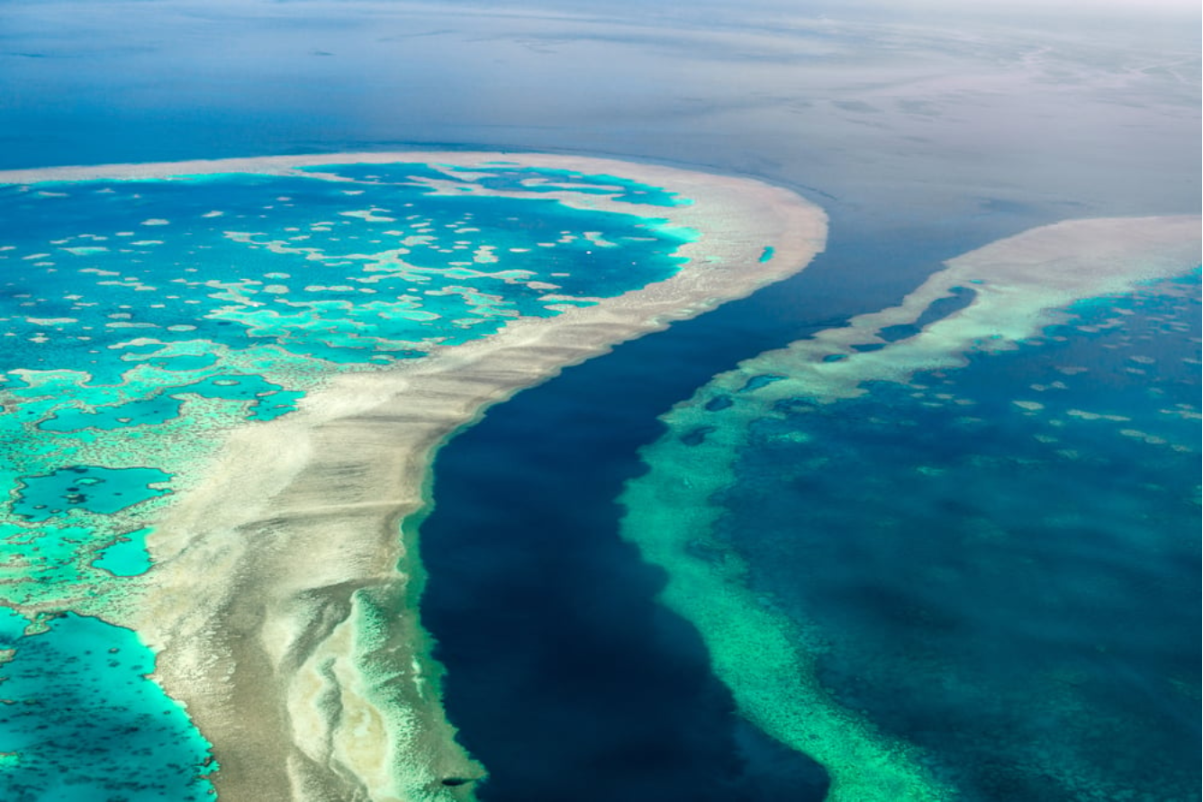 Du lịch The Great Barrier Reef: Hành trình xuyên rạn san hô kỳ vĩ nhất hành tinh