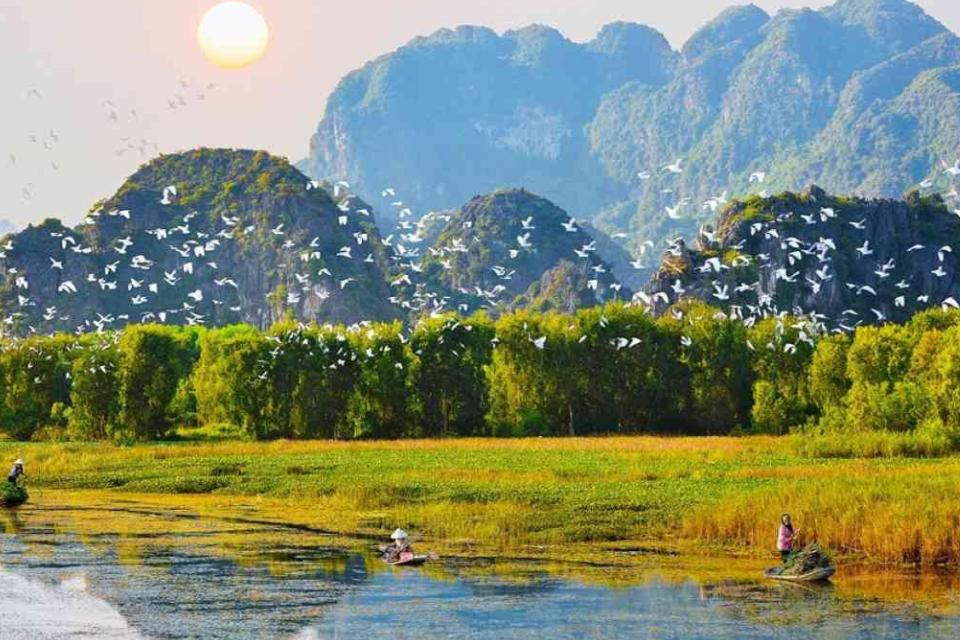 Du lịch Thung Nham Ninh Bình: Khám phá vườn chim nổi tiếng đất Cố đô Du lịch Thung Nham Ninh Bình: Khám phá vườn chim nổi tiếng đất Cố đô