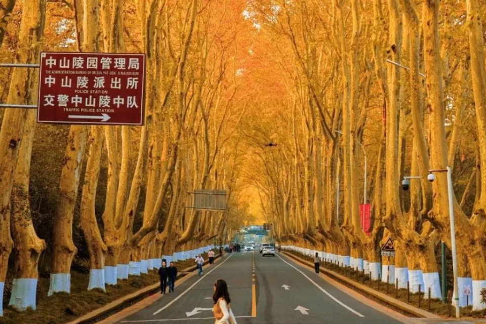 Top 8 tour du lịch Trung Quốc Vietravel: Trải nghiệm những hành trình đáng nhớ và khám phá văn hóa độc đáo