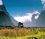 Thiên nhiên tươi đẹp ở New Zealand