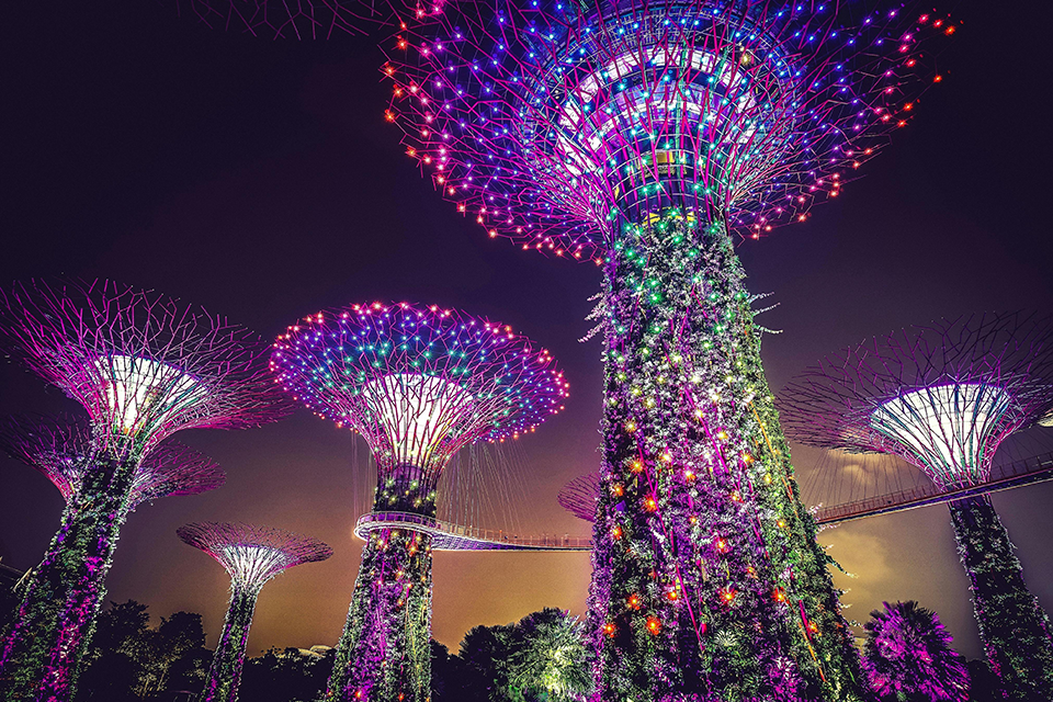 Du lịch Gardens By The Bay: Khám phá khu vườn biểu tượng Singapore