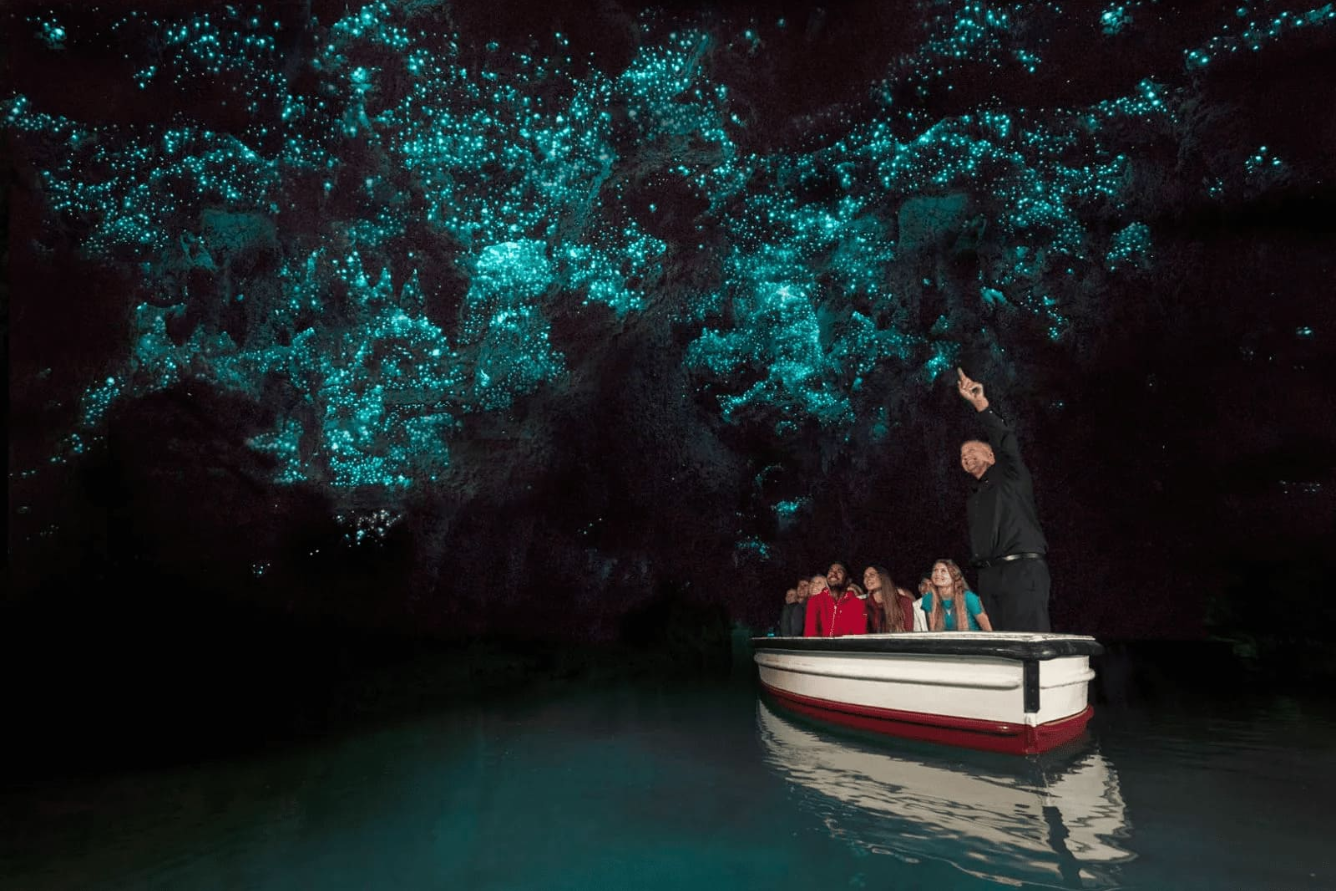 Khám phá hang Waitomo Glowworm: Kỳ quan thiên nhiên độc đáo của New Zealand