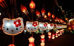 Malaysian lantern festival sets standard for private-public cooperation