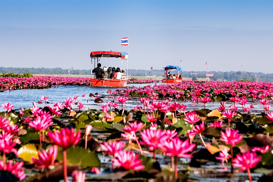 Hồ sen đỏ Talay Bua Daeng và những điểm sống ảo thiên nhiên ở Udon Thani