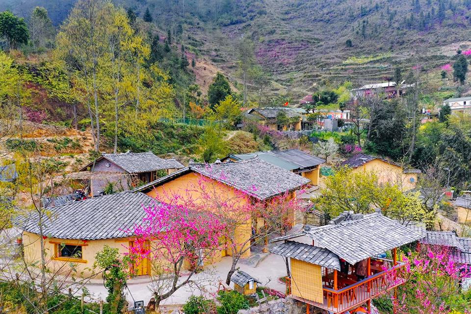 Top 10 địa điểm ngắm hoa đào ở Hà Giang ấn tượng nhất