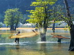 Hồ Noong - chốn "bồng lai" giữa cao nguyên đá