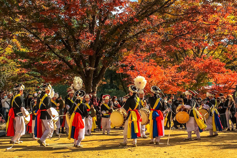 Kinh nghiệm du lịch Hàn Quốc mùa thu 2025: Trải nghiệm lễ hội, văn hóa và lá đỏ