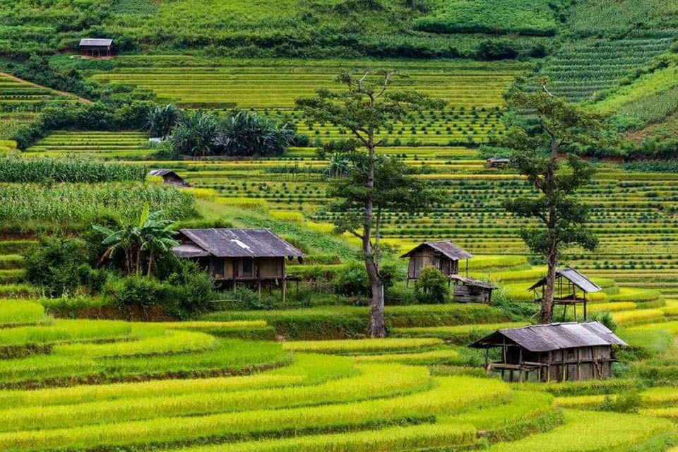 Kinh nghiệm du lịch Lìm Mông Yên Bái: chiêm ngưỡng thiên nhiên hùng vĩ