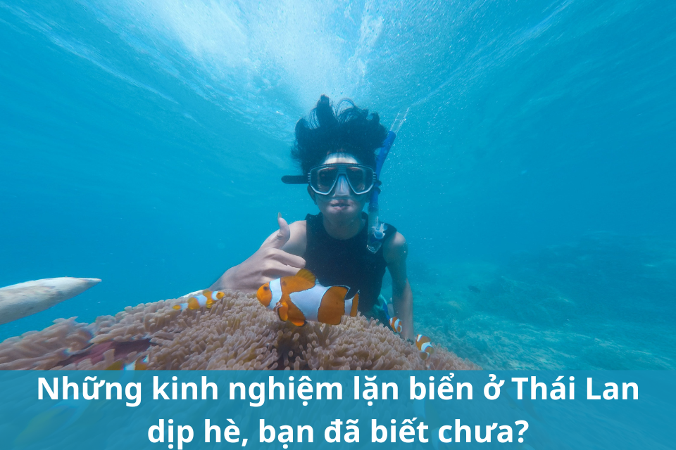 Những kinh nghiệm tay nghề lặn dưới biển sâu ở Thái Lan thời điểm hè, chúng ta vẫn biết chưa?
