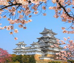 Du khách đến Nhật Bản tăng đột biến tháng 4/2014